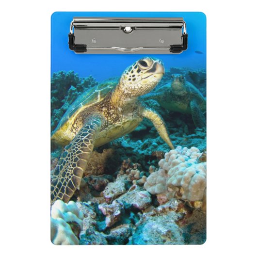 Schildkröte-Paare Mini Klemmbrett (Vorderseite)