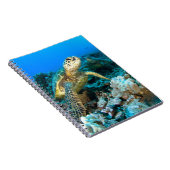 Schildkröte-Paare Notizblock (Rechte Seite)