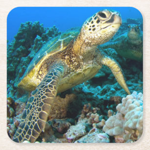 Schildkröte-Paare Rechteckiger Pappuntersetzer