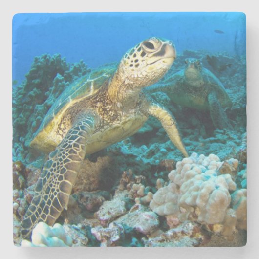 Schildkröte-Paare Steinuntersetzer (Vorderseite)
