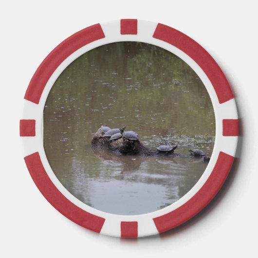 Schildkröte Pokerchips (Vorderseite)