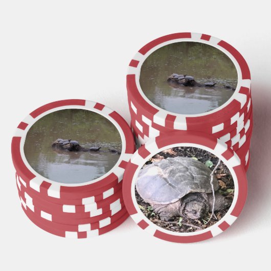 Schildkröte Pokerchips (Stapel)