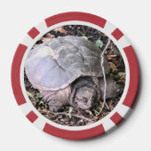 Schildkröte Pokerchips (Rückseite)