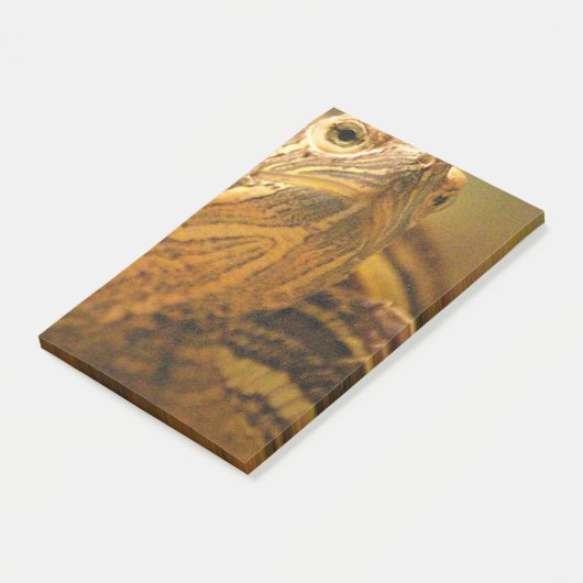 Schildkröte Post-it Klebezettel (angewinkelt)