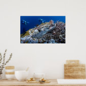 Schildkröte Poster (Küche)