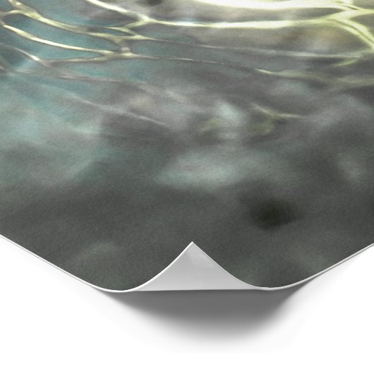 Schildkröte Poster (Ecke)