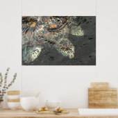 Schildkröte Poster (Küche)