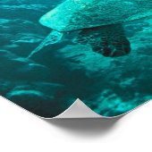 Schildkröte Poster (Ecke)