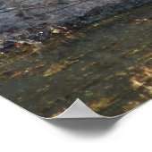 Schildkröte Poster (Ecke)
