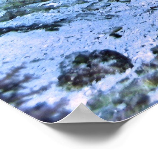 Schildkröte Poster (Ecke)