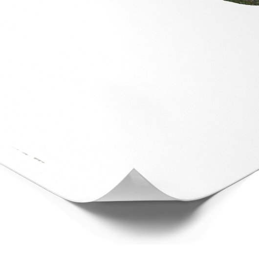 Schildkröte Poster (Ecke)