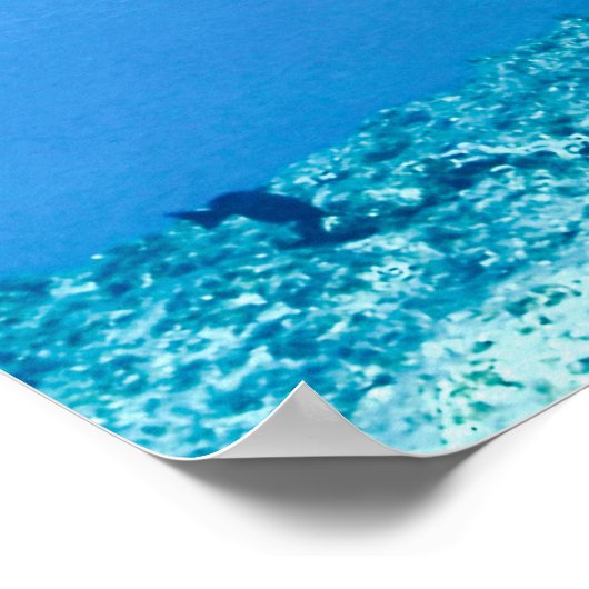 Schildkröte Poster (Ecke)