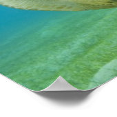 Schildkröte Poster (Ecke)