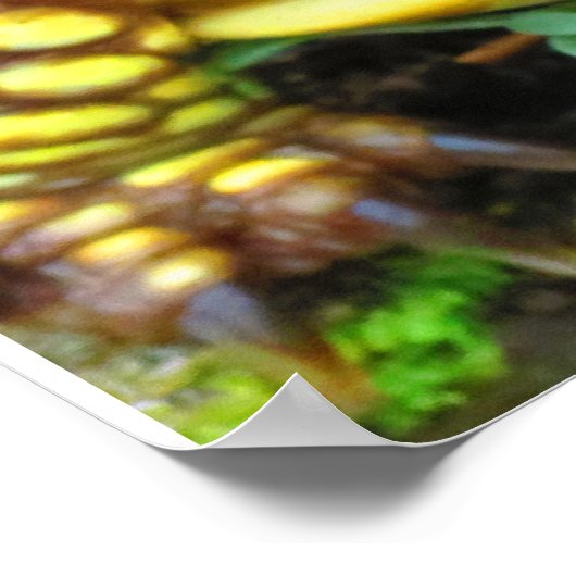 Schildkröte Poster (Ecke)