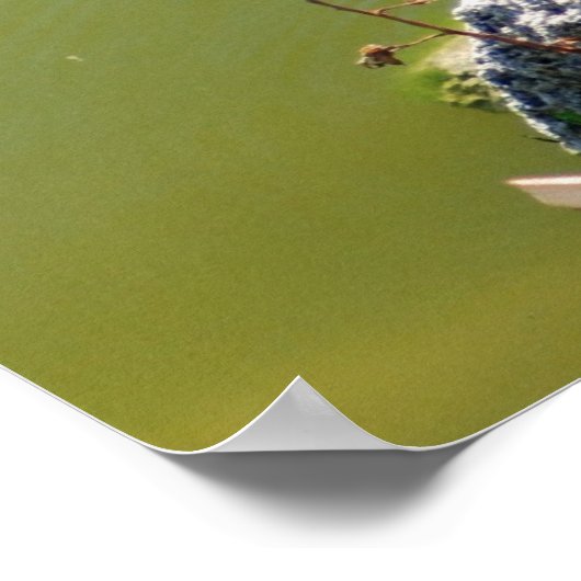 Schildkröte Poster (Ecke)