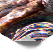Schildkröte Poster (Ecke)