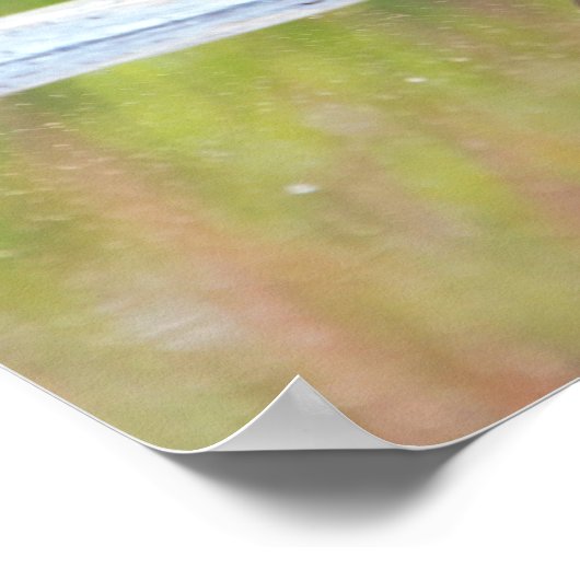 Schildkröte Poster (Ecke)