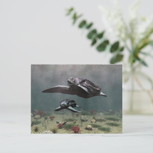 Schildkröte Postkarte (Stehend Vorderseite)
