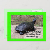 Schildkröte Postkarte (Vorne/Hinten)