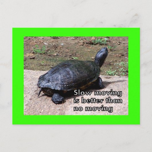 Schildkröte Postkarte (Vorderseite)
