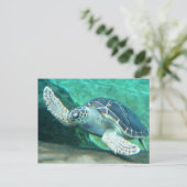 Schildkröte Postkarte (Stehend Vorderseite)