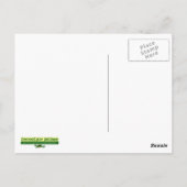 Schildkröte Postkarte (Rückseite)