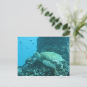 Schildkröte Postkarte (Stehend Vorderseite)