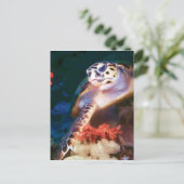 Schildkröte Postkarte (Stehend Vorderseite)