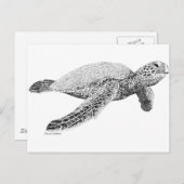 Schildkröte Postkarte (Vorne/Hinten)