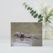 Schildkröte Postkarte (Stehend Vorderseite)