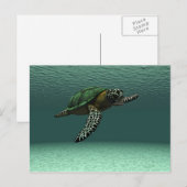 Schildkröte Postkarte (Vorne/Hinten)