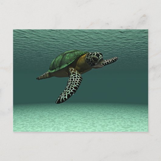 Schildkröte Postkarte (Vorderseite)