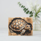 Schildkröte Postkarte (Stehend Vorderseite)