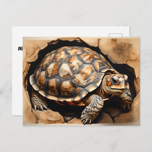 Schildkröte Postkarte (Vorne/Hinten)