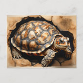 Schildkröte Postkarte (Vorderseite)