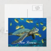 Schildkröte Postkarte (Vorne/Hinten)