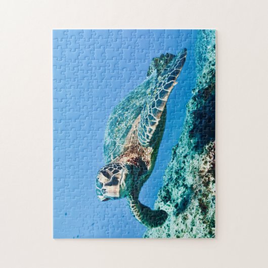 Schildkröte Puzzle (Vertikal)