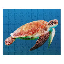 Schildkröte