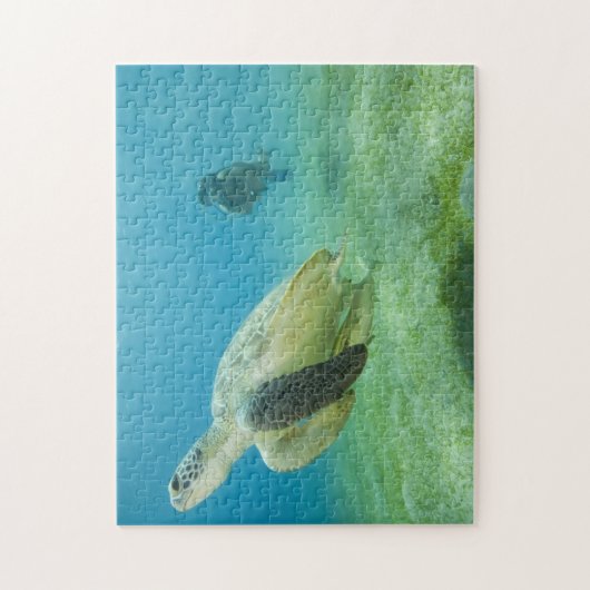 Schildkröte Puzzle (Vertikal)