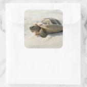 Schildkröte Quadratischer Aufkleber (Tasche)