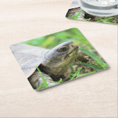 Schildkröte Rechteckiger Pappuntersetzer (angewinkelt)