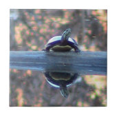 Schildkröte reflektierte dekorative Fliese (Vorderseite)