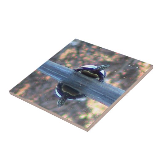 Schildkröte reflektierte dekorative Fliese (Seite)