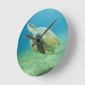 Schildkröte Runde Wanduhr (Winkel)