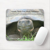 Schildkröte, Santa- Cruzinsel, Galapagos Mousepad (Mit Mouse)
