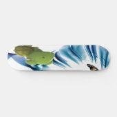 Schildkröte Saturn Skateboard (Horizontal)