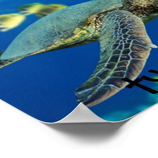 Schildkröte, Schildkröte.. Schildkröte! Poster (Ecke)