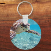 Schildkröte Schlüsselanhänger (Vorderseite)