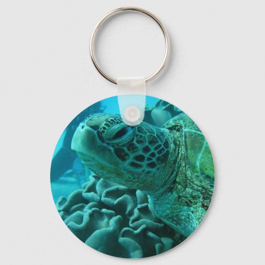 Schildkröte Schlüsselanhänger (Vorderseite)