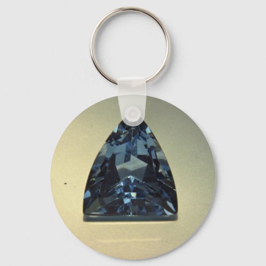 Schildkröte Schlüsselanhänger (Vorderseite)